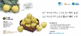 청송몰