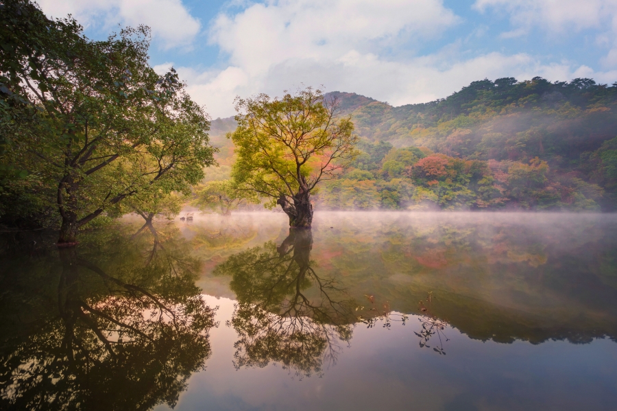 청송군, 차별화된 글로벌 생태관광도시 조성-(주산지).jpg