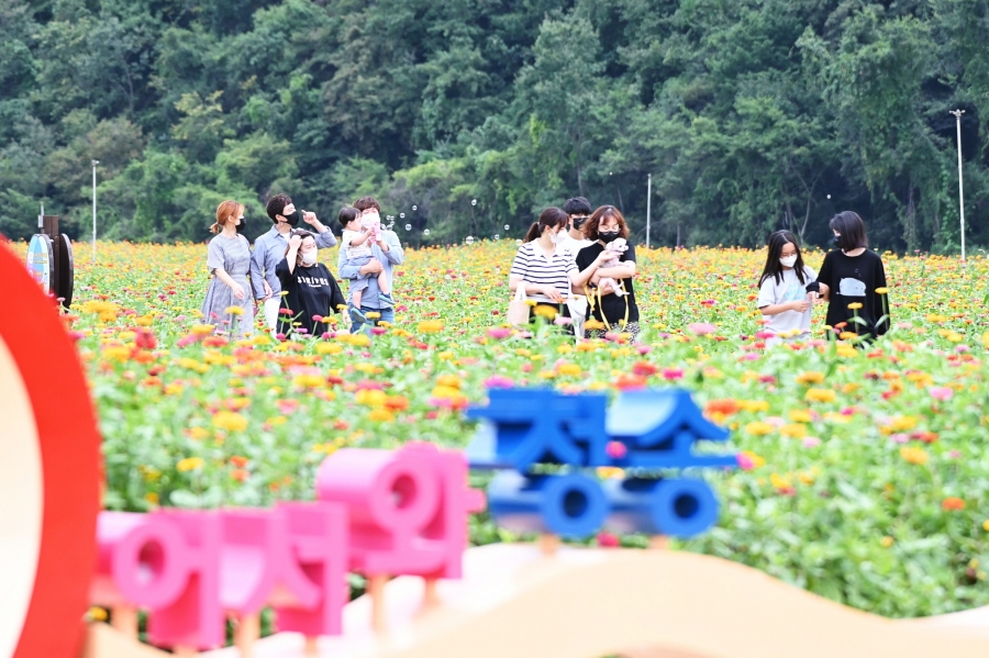 세계적 인정 ‘산소카페 청송군’, 국제슬로시티 3회 연속 인증-(산소카페 청송정원).jpg