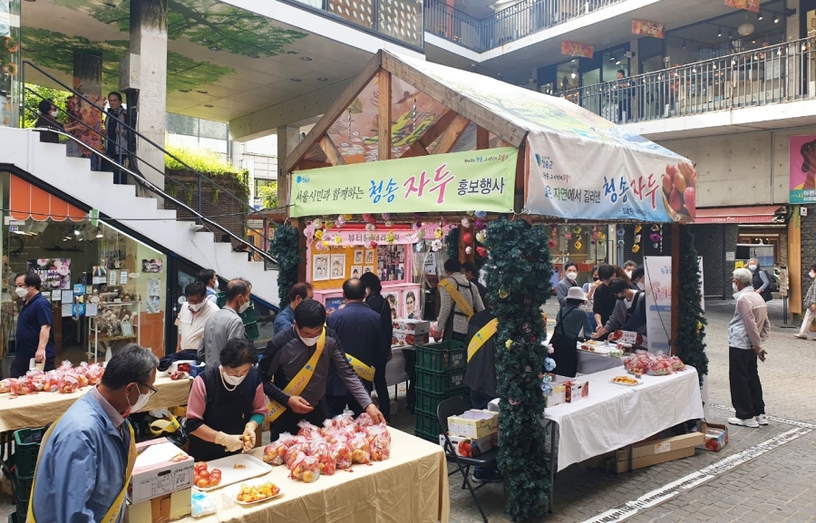 청송자두GAP사업단, 서울시민과 함께하는 청송자두 홍보행사 진행.jpg