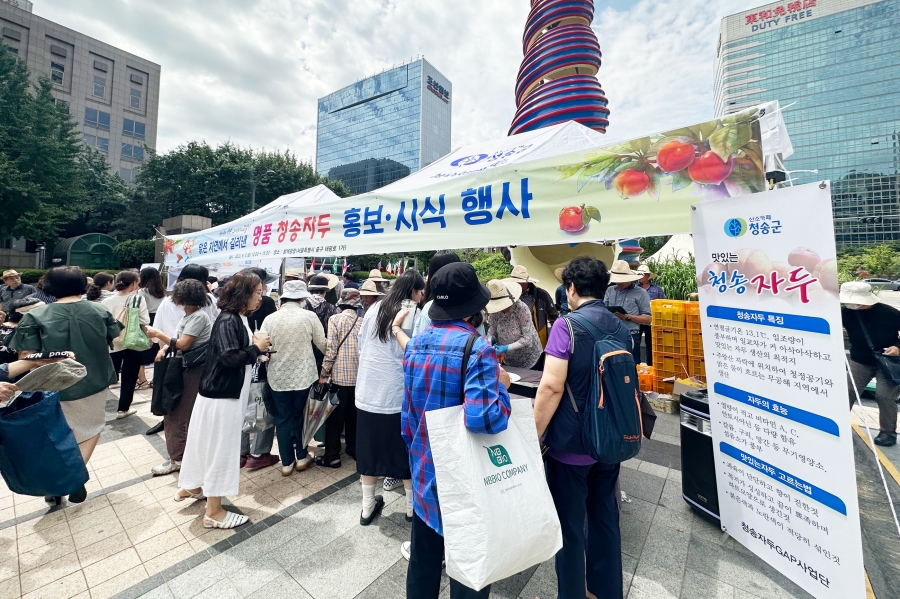 청송군, 서울 시민들에게 청송자두 우수성 홍보 및 시식행사 진행.jpg