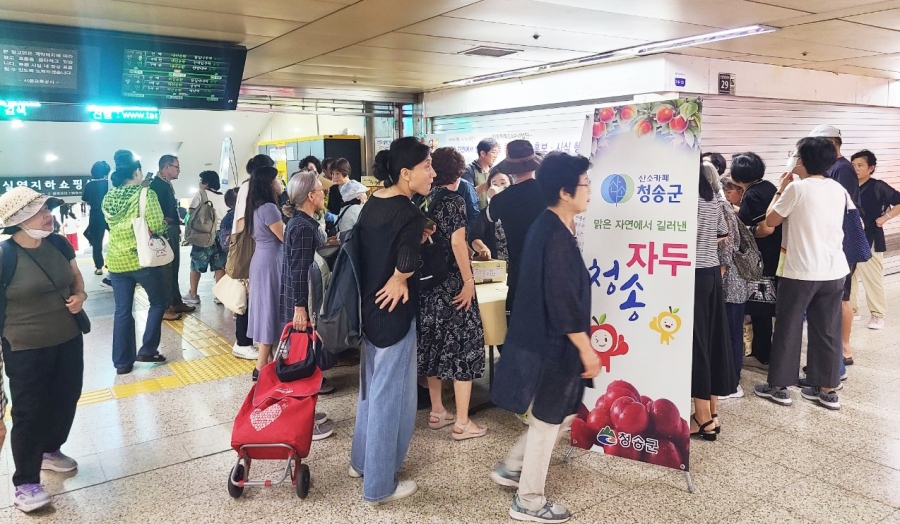 청송군, 서울 잠실역에서 ‘명품 청송자두 홍보 및 시식 행사’ 개최.jpg